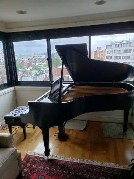 steinway 450x600