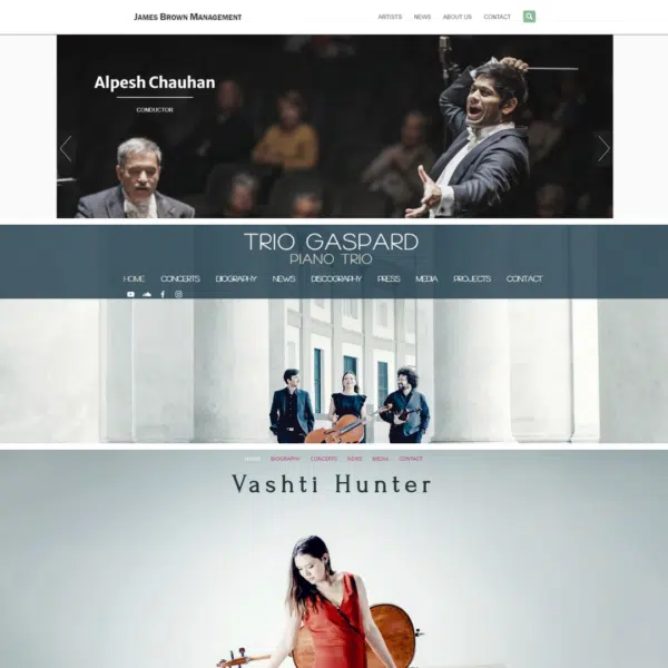 Websites 1 600x600
