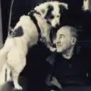 evan ziporyn and margot 128x128
